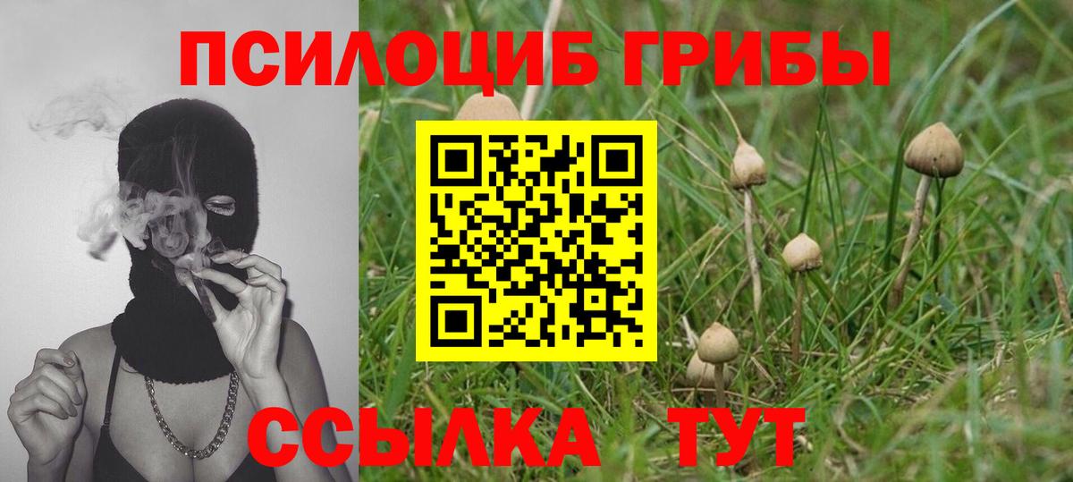 Егорьевск  Галлюциногенные грибы мухоморы  Вход с VPN 
